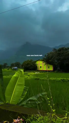 প্রাকৃতিক সৌন্দর্যে ভরপুর একটি গ্রাম Nature that brings peace #natureza #naturaleza #village #peacefulnature #נוףטבעי 