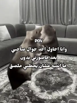 حقيقي 🙂💔  #ميمز #ضحك #الشعب_الصيني_ماله_حل😂😂 #viral  #ملصقات 