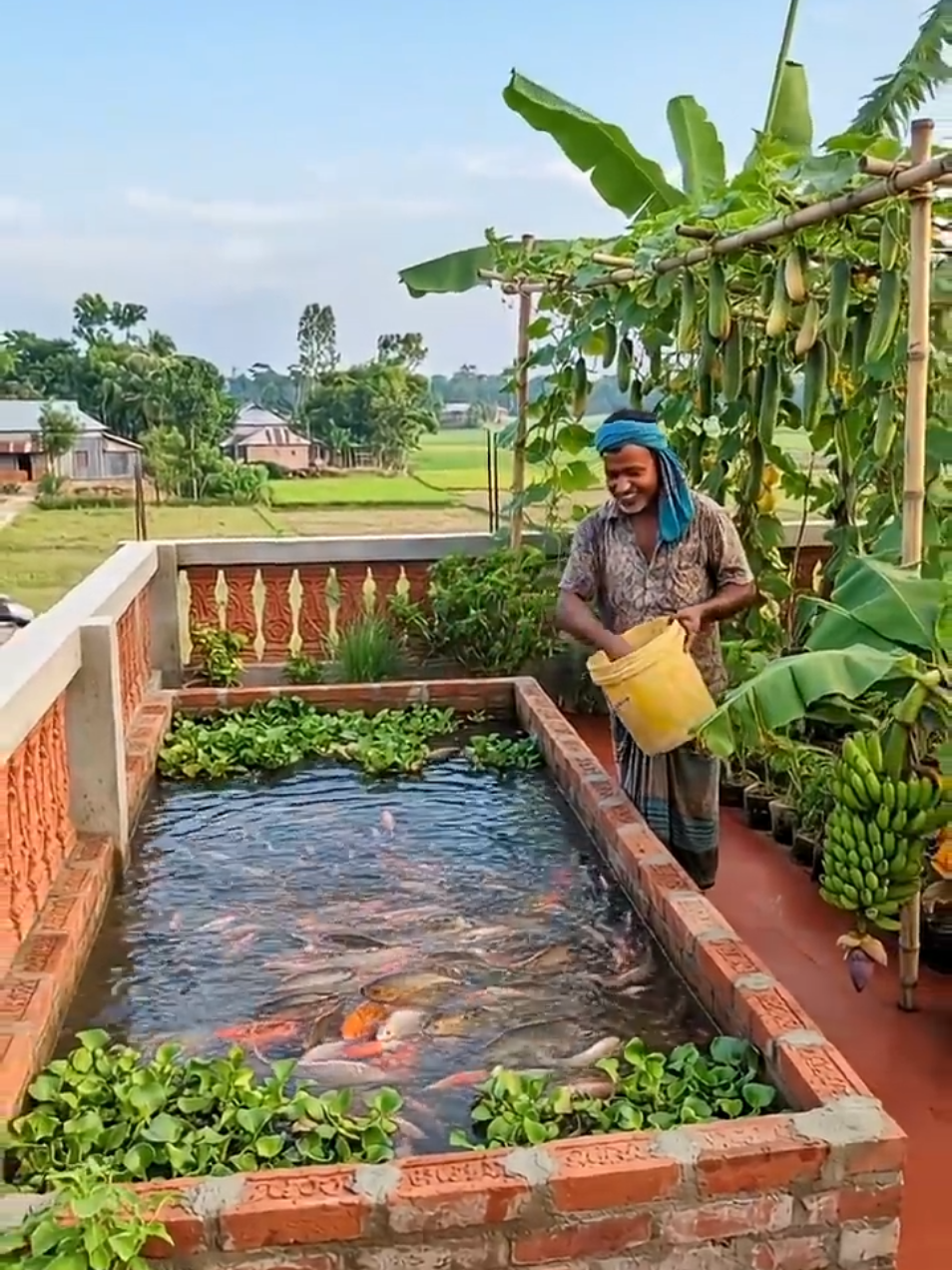 “অল্প জায়গায় এত কিছু! 🌱🐟 আপনার এলাকায় এমন কৃষি দেখেছেন?”#কৃষি #কৃষক #কৃষিরভিডিও #গ্রামবাংলা #বাংলাদেশ 