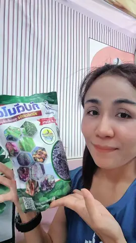 #ไตรโคเดอร์ม่า #ฟีด #ทำสวน #รักษาโรคพืช #เผื่อใครถามว่าซื้อไหน ร ชนิดอัดแท่ง (Captainkoko) คือเชื้อราไตรโคเดอร์มาสายพันธุ์เข้มข้น ผลิตจากห้องแล็บ ช่วยป้องกันและรักษาโรคพืชที่เกิดจากเชื้อรา เช่น  โรครากเน่า โคนเน่า และใบจุด  โดยมาในรูปแบบเม็ดที่ใช้งานง่าย มีส่วนผสมธาตุอาหารพืช เพียงโรยรอบทรงพุ่ม 1-2 กำมือ และรดน้ำตาม ทุก 15-30 วัน  ข้อดี กัปตันไตร ชนิดอัดแท่ง กัปตันไตร ( Trichoderma) ชนิดอัดแท่ง/อัดเม็ด เป็นชีวภัณฑ์ป้องกันและกำจัดโรคพืชทางดินที่ใช้ง่าย มีประสิทธิภาพสูงในการรักษา โรครากเน่า  โคนเน่า  ผลเน่า  โรคคอดิน  โดยการทำงานของเชื้อราไตรโคเดอร์มาผสมกับสารอินทรีย์ช่วยปรับปรุงดินและเร่งการเจริญเติบโตของรากพืช ปลอดภัยต่อผู้ใช้และสิ่งแวดล้อม 100%  ข้อดีของกัปตันไตร ชนิดอัดแท่ง (อัดเม็ด) ใช้งานง่ายและสะดวก: เพียงแค่ฝังลงดิน หรือโรยรอบทรงพุ่ม โดยไม่ต้องผสมน้ำฉีดพ่น ลดขั้นตอนการทำงานของเกษตรกร ออกฤทธิ์ได้นานและตรงจุด: รูปแบบอัดแท่งช่วยให้เชื้อค่อยๆ ปล่อยเชื้อไตรโคเดอร์มาลงสู่ดินรอบรากพืชอย่างต่อเนื่อง จึงรักษารากและโคนเน่าได้ดีกว่า ประสิทธิภาพการยับยั้งเชื้อราสูง: มีความเข้มข้นสูง ช่วยยับยั้งและกำจัดเชื้อราสาเหตุโรคพืช เช่น Phytophthora (ไฟท็อปเทอร่า) ได้อย่างตรงจุด