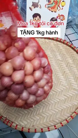 Tỏi cô đơn mỗi củ chỉ có 1 tép ăn giòn thơm lém #tỏi #toicodon #tiktokshop 