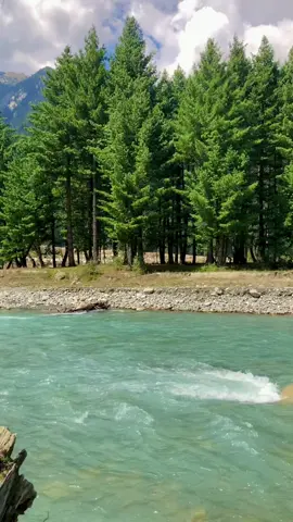 Panjkora River Kumrat Valley 👌❤️#kumrat_valley #ihsankumrat #foryou #naturevibes #foryourepage 