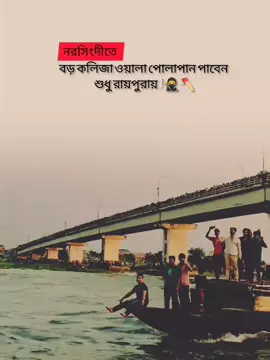 নরসিংদীতে বড় কলিজা ওয়ালা পোলাপান পাবেন সুধু রায়পুরায়..! #tanvirjunior #নরসিংদী_পোলা #রায়পুরা #sigmaboy #foryou 