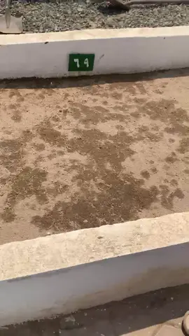 الله يرحمها ويغفرلها 💔