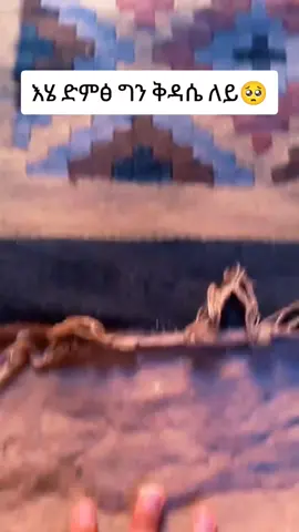 #orthodox #viralvideoethiopia #flypシ #ኦርቶዶክስ_ተዋህዶ_ፀንታ_ለዘለዓለም_ትኑር 