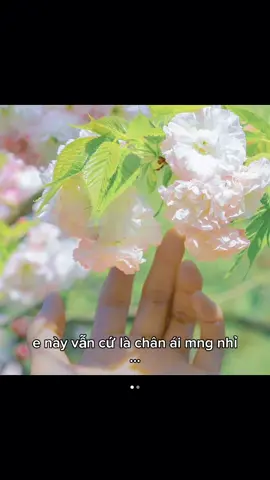 Kem dưỡng L’Oréal Glycolic Bright này tui thích ở khoản chất kem dễ tán, thoa lên da khá mềm mịn và có độ ẩm vừa phải. Dùng đều thấy da nhìn tươi sáng, mịn màng và đều màu hơn, kiểu chăm da mỗi ngày mà da trông rạng rỡ hơn á ✨🤍 #LOreal #GlycolicBright #KemDuongLOreal #KemDuongSangDa #DuongSangDa     