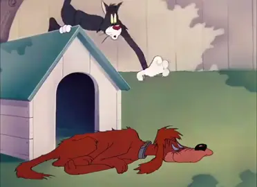 Tom and Jerry#tomjerry #tom-vs-jerry#tom #tomandjerry #funnyvideo