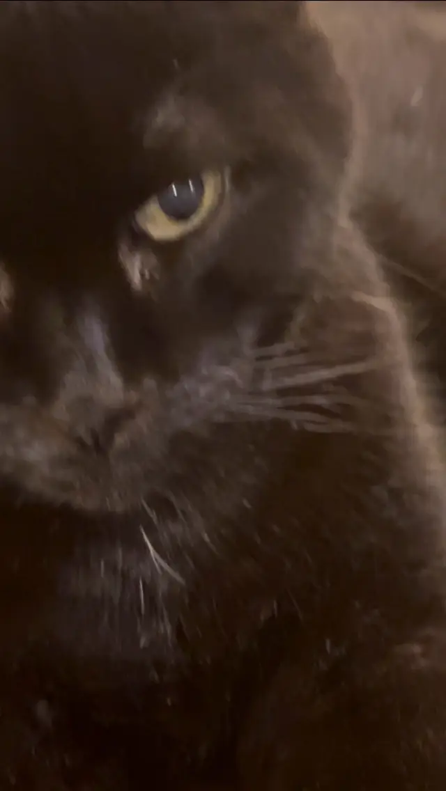 Cute little darling- he’s 20 and so loved