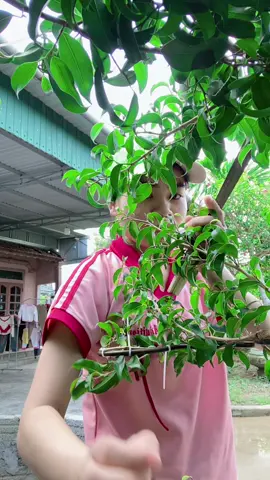 Vợ đẹp thì chồng phải lo đêm nằm lắm kẻ rình mò ước ao chẳng thà cứ xấu như tao tối nằm phơi ngửa chẳng ma nào thèm #haikich 
