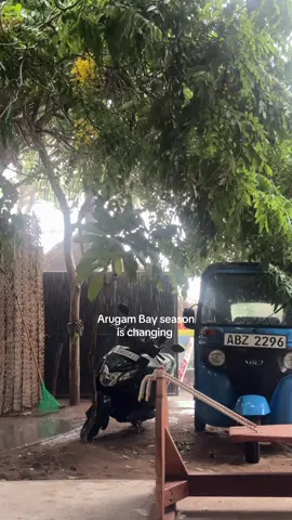 Arugam Bay Seasons is changing and the rain is coming  #arugambay #srilanka #srilankaweather #solotravel 