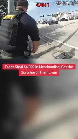 Teens Steal $4,000 in Merchandise, Get the Surprise of Their Lives #copsoftiktok #cops 
