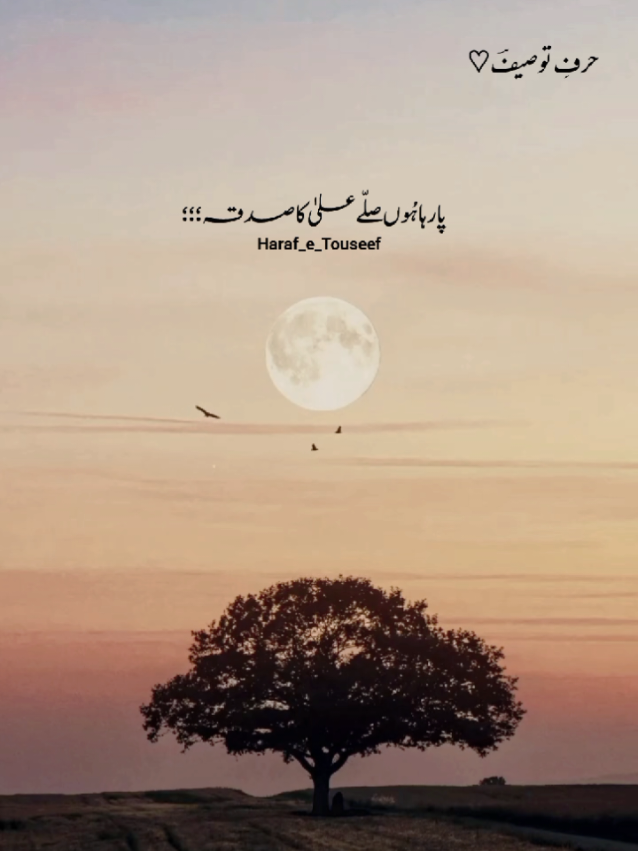 #اردوشاعری #غزل #PoetryTok #UrduPoetry #fypシ゚viral🖤tiktok 