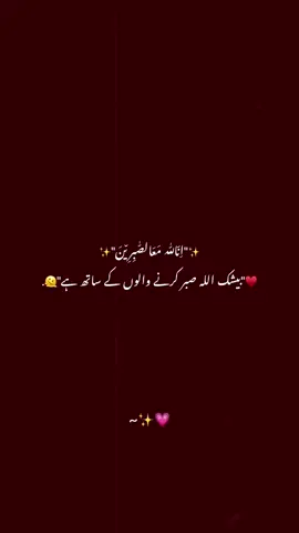 Follow and repost🥹🌸 . . . . #explore #reels #fyp #viral #urdupoetry 