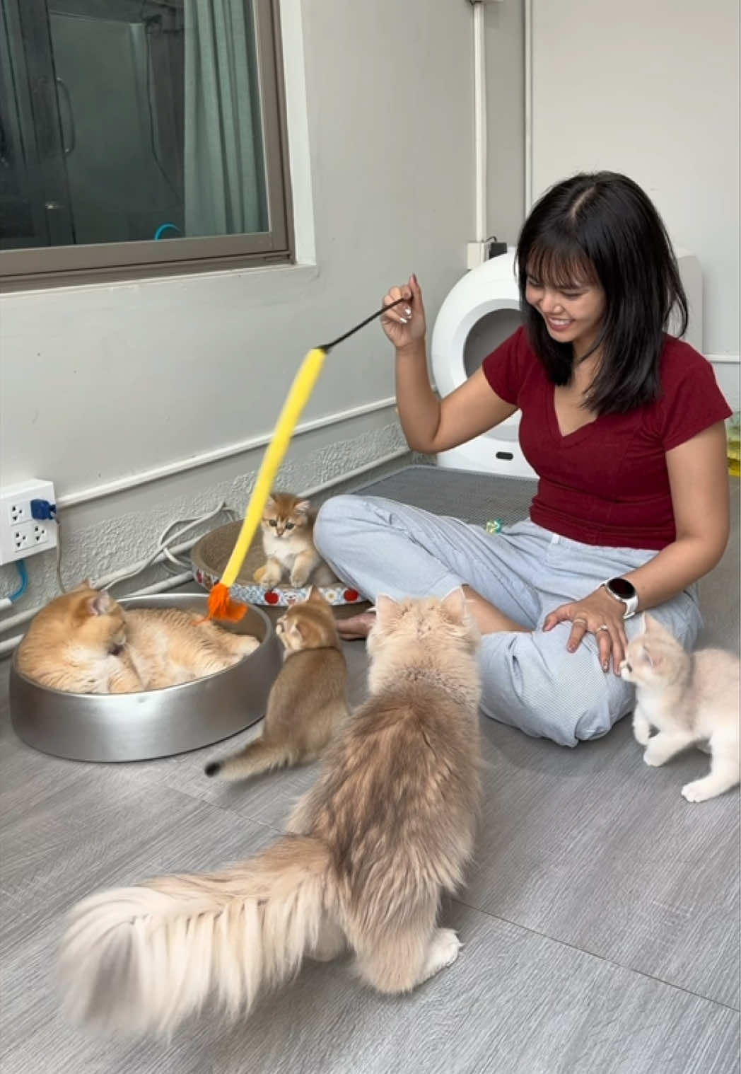 ดูนึกถึงมิลตันเลย 😂🐱 อยากให้ลำไส้ดี สุขภาพดี น้องก็จะได้แฮปปี้ 💕 #Moochiepetfood  #MoochieGutOffice  #ลำไส้ดีสุขภาพดีแฮปปี้ได้อีกนาน​​ #moochie 
