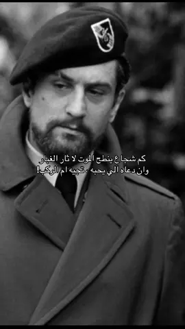#قصيد #viral 
