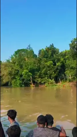 সেরা ছিল ভাই❤️🐸