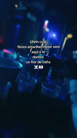 #paratiiiiiiiii #humor #fiesta #floresamarillas🌻 #flordecaña🥃🌾🇳🇮 