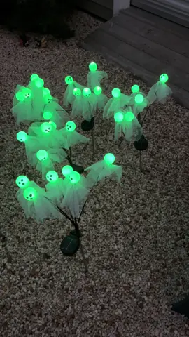 Ack here with the cool Halloween solar ghost lights that come in other colors besides this green! Click the link and check them out 💯#halloweendecor #halloween #halloweenghosts #ghost #tiktokshop @Gejoy Festive 