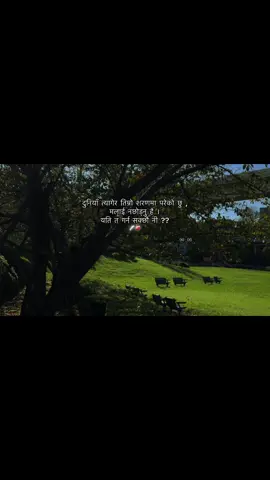 🖤