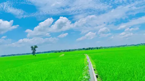 প্রাকৃতির মধ্যে নিজেকে হারিয়ে  ফেলি প্রতি বার🥰🌸🏞️#natural #foryou #foryoupage #fyp #vairal 