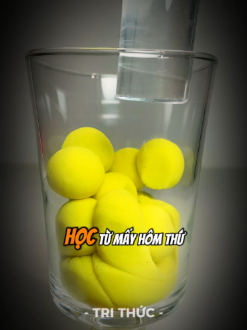 Học từ vựng hôm trước, tới hôm sau gặp lại thấy quen lắm mà chả nhớ nổi #phattrienbanthan #trithuc #hoctienganh