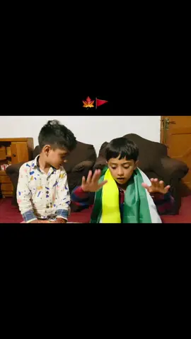 خون رنگ لائے گا🍁🚩#foryou #standwithkashmir 
