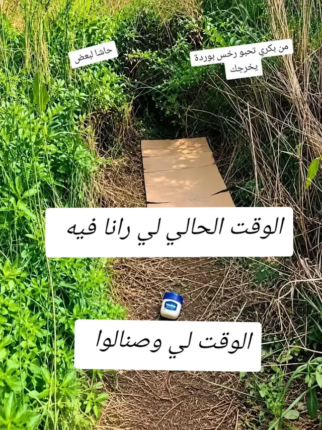 ابونيو_لحباب_🌹❤اكسبلورexploreabonné_tchouf_jdid🇩🇿🇲🇦🇹🇳