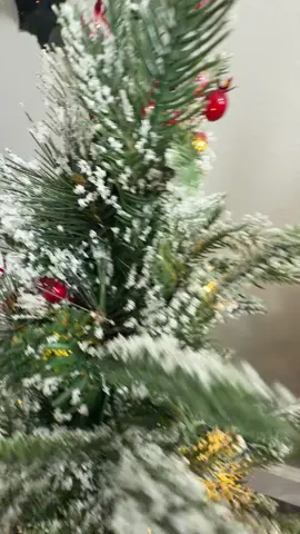 #chrisrmas #tree #decor #christmasdecor 
