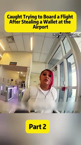 Caught Trying to Board a Flight After Stealing a Wallet at the Airport