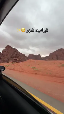 #تبوك  #اكسبلورexplore 