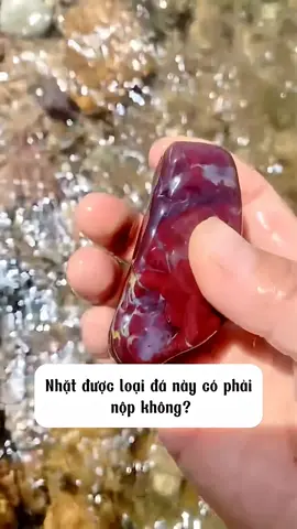 Nhặt được loại đá này có phải nộp không? P3 #viral #fyp #dieubanchuabiet #mpthegioi 