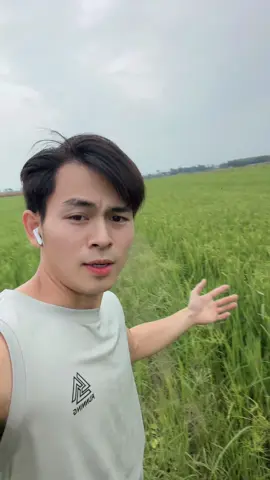 chạy bộ#xuhuong 