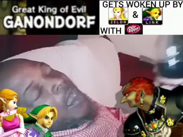 #fyp #trending #meme #zelda #viral 