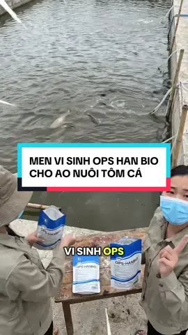 Men vi sinh OPS HAN BIO làm sạch bạt đáy ao #opshanbio #visinhchoca #nuoitrongthuysan #nuoitomcongnghecao #tiemnhamemin 