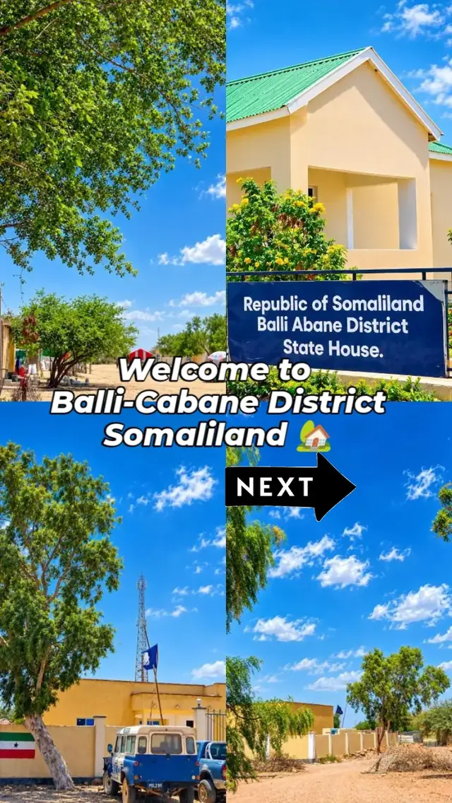 Kaalay nala daawo quruxda iyo bilicda degmada Balli-Cabane. Welcome to Balli-Cabane , a place where simplicity meets beauty, communities come together, and every corner tells a story. 🌅🌳 📍 Welcome to Balli-Cabane , Hawd Region , Somaliland. ✨ Beautiful City.   #landscape @Visit_Balli-Cabane 