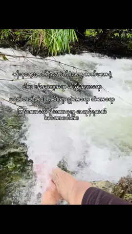 ဘယ်လို vibe ကိုလိုချင်လဲသာပြောလိုက် #calmingvibes #naturaltones #chillcontent #relaxingstyle #creatorsearchinsights 