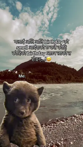 Smel aairaxa hai😆#fypシ #foryou #tiktokgoviral #idunfreeze #funnycontent 