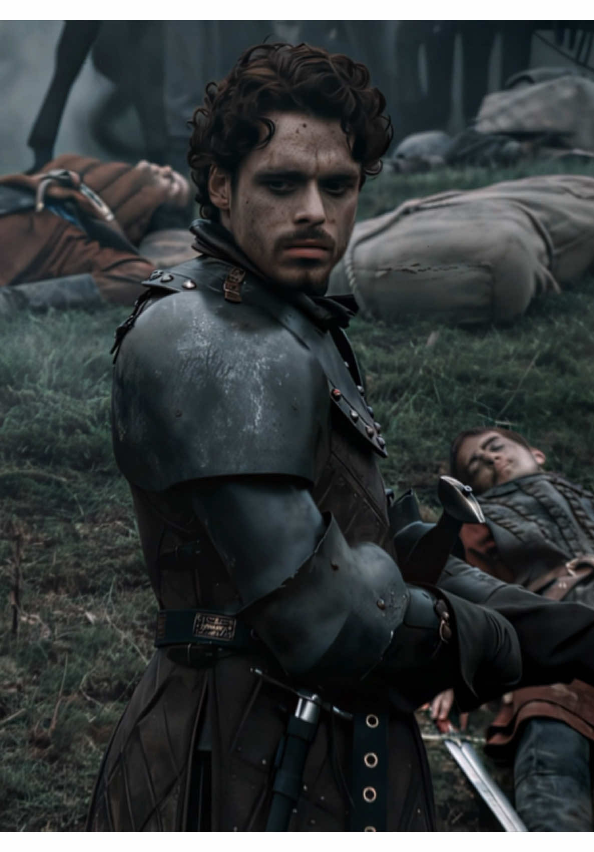 The King in the North ❄️👑 || #asoiaf #got #gameofthrones #kinginthenorth #robbstarkedit || Game of thrones edits, Robb stark edits