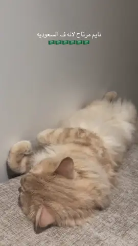 #مشمش 