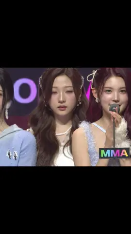 #stella #스텔라 