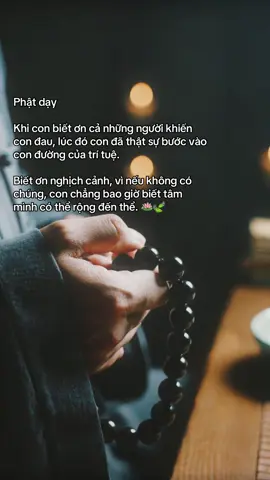 Khi con biết ơn cả những người khiến con đau, lúc đó con đã thật sự bước vào con đường của trí tuệ. Biết ơn nghịch cảnh, vì nếu không có chúng, con chẳng bao giờ biết tâm mình có thể rộng đến thể.