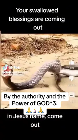 ##onthisday #ONGOD #ODOHEMAA💧🥰💜 #viralvideo #goviraltiktok 