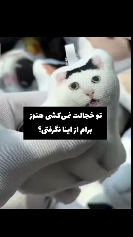 خجالت بکش ๑ ๑ ๑ ๑ ๑ @Aryana @һᥱᥣі @delsa:) @ellaa @remi @Kimia @Aygin Moradi  #گمشوووووفوریووووو #fyp #viral #فوریو #گمشووو_برو_فوریو 
