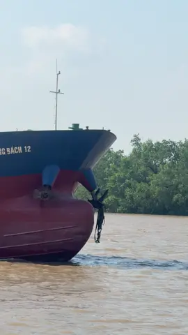 Hữu duyên gặp tàu Phương Bách 12 chúc ae hành trình gặp nhiều may mắn #xuhuongtiktok #tausbvietnam #xuhuong #tauthuyenmienbac #xalangmientay 