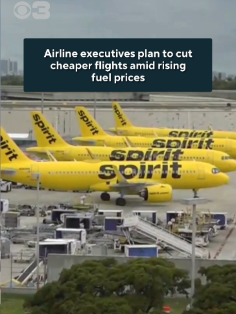 Some airline executives say they plan to eliminate cheaper and less profitable flights over the next few months. According to the Consumer Price Index, airfares in June, July and August were roughly 25% higher compared with the same months a year earlier.