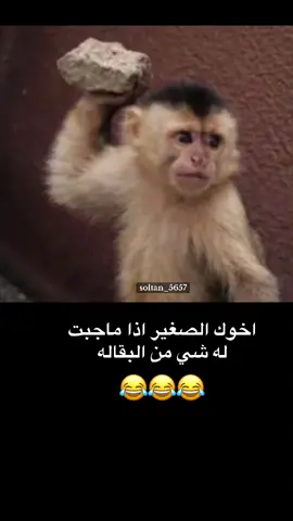 🤣🤣#الشعب_الصيني_ماله_حل😂✌️#مالي_خلق_احط_هاشتاقات🦦 #😂😂😂😂😂😂😂😂😂😂😂😂 #balloongiftbox #handheart