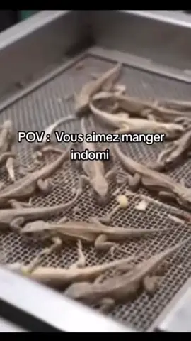 Mais rien ne vas nous arrêter 😹😹#pourtoi 
