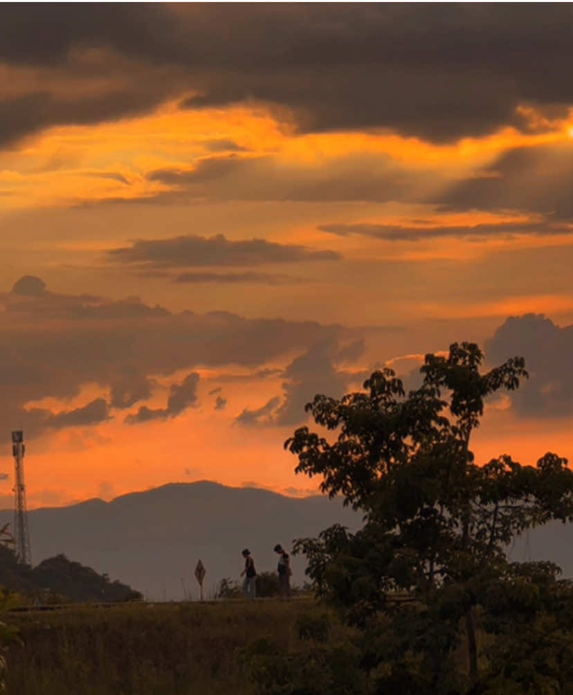 Let the evening light wash away the noise🧡#fypviralシ #capcut #sunset #chill 
