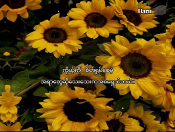 . #foryou #crdစာသား #foryoupage #tiktok  #fyppppppppppppppppppppppp 
