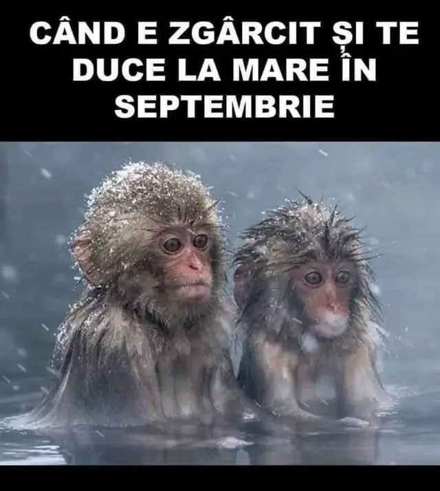 Mi-a promis o vacanță la mare… dar a uitat să precizeze că trebuie să-mi iau și geaca de iarnă. 😂🌊❄️ #VacantaLaMare #UmorRomanesc #TikTokRomania #ViataDeCuplu